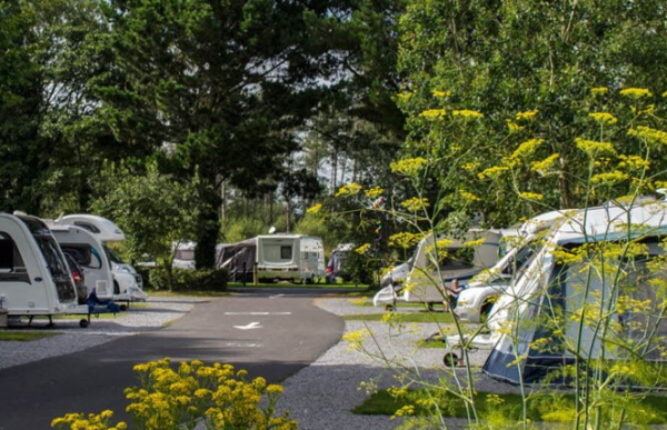 picture of Pembrey Country Park Caravan Site