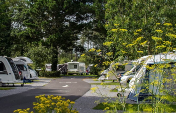 picture of Pembrey Country Park Caravan Site